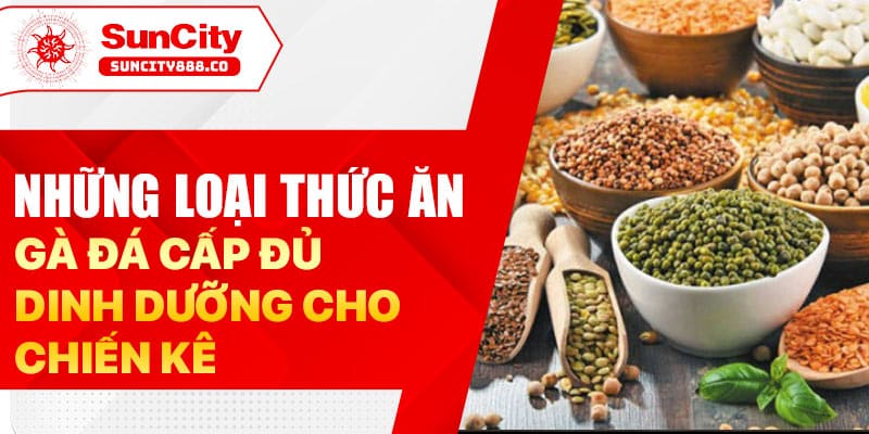 Những loại thức ăn gà đá cấp đủ dinh dưỡng cho chiến kê