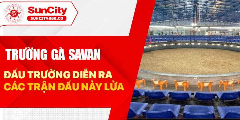Trường Gà Savan - Đấu Trường Diễn Ra Các Trận Đấu Nảy Lửa